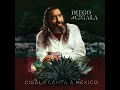 Si Tú Me Dices Ven - Diego El Cigala