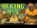 AFKing 9 to 5 Bonfires Forester Campfires
