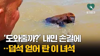 '도와줄까?'···덥석 얻어탄 녀석