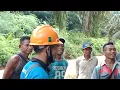 Download Lagu karyawan baru di berikan penjelasan cara2 panen menurut SOP perusahaan