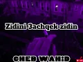 Cheb Wahid - zidini 3achqek zidini (slowed)