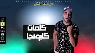 مهرجان ولع قلبي لما شافه ولع 