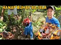 Download Lagu Ang Daming huli crabs.. Hinuhukay sa ilalim ng lupa Pampasalubong sa Tayabas