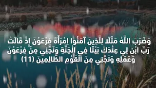 سورة التحريم ياسر الدوسري من الايه 9 الي 12 ياسر الدوسري سورة التحريم كامله 