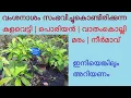 Download Lagu കുളവെട്ടി | പൊരിയൻ | വാതംകൊല്ലി മരം | നീർമാവ് | Syzygium travancoricum | Travancore Eugenia