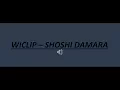 Download Lagu Wiclip - SHOSHI DAMARA (Audio)