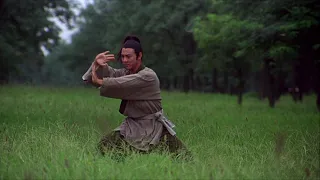 tai chi master 1993 learning scene