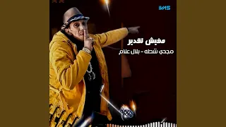 مفيش تقدير دندنها