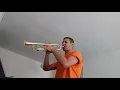 Download Lagu Netherlands anthem - Nederland volkslied: Wilhelmus van Nassouwe [trumpet - trompet]