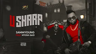 sammyoung u sharp feat ntosh gazi official audio 