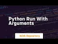 python run with arguments