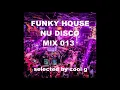 FUNKY HOUSE & NU DISCO mix 013