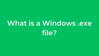 What is a windows exe file