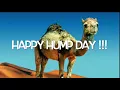 Happy Hump Day
