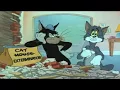 Lagu Tom and Jerry Episode 25   Trap Happy Part 3
