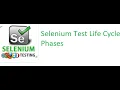 Selenium Class 3 Selenium Test Process