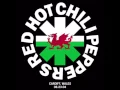 Download Lagu Red Hot Chili Peppers - Kill For Your Country (live)
