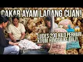 Lagu CAKAR AYAM LADANG CUAN⁉️ 200 KILO PERHARI KIRIM HINGGA BALI