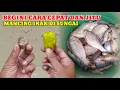 Download Lagu CARA MANCING SUNGAI‼️AGAR IKAN CEPAT DATANG DAN MEMAKAN UMPAN