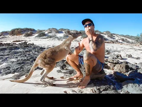 Download MP3 STRANDED ON REMOTE ISLANDS Finding Rare Mud Crab (Friendly Kangaroo) - Ep 89