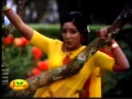 Download Lagu Paavai Nee Malligai Paal Nila Punnagai