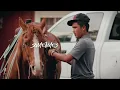 Maoli - Country Reggae (Official Music Video)