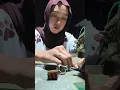 Download Lagu Proses pembentukan batu SARANG TAWON 