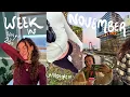 Lagu week in mijn leven: november 🍁🍸 23e verjaardag vieren, dagelijks leven \u0026 daily reminders