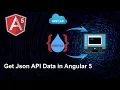 How to get api json data in Angular 5