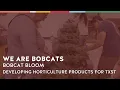 BTS TXST Holiday Wreaths with Bobcat Bloom