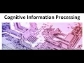 Cognitive Information Processing Theory
