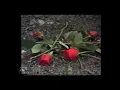Download Lagu benny blanco \u0026 juice wrld - roses ft . brendon urie ( slowed + reverb )