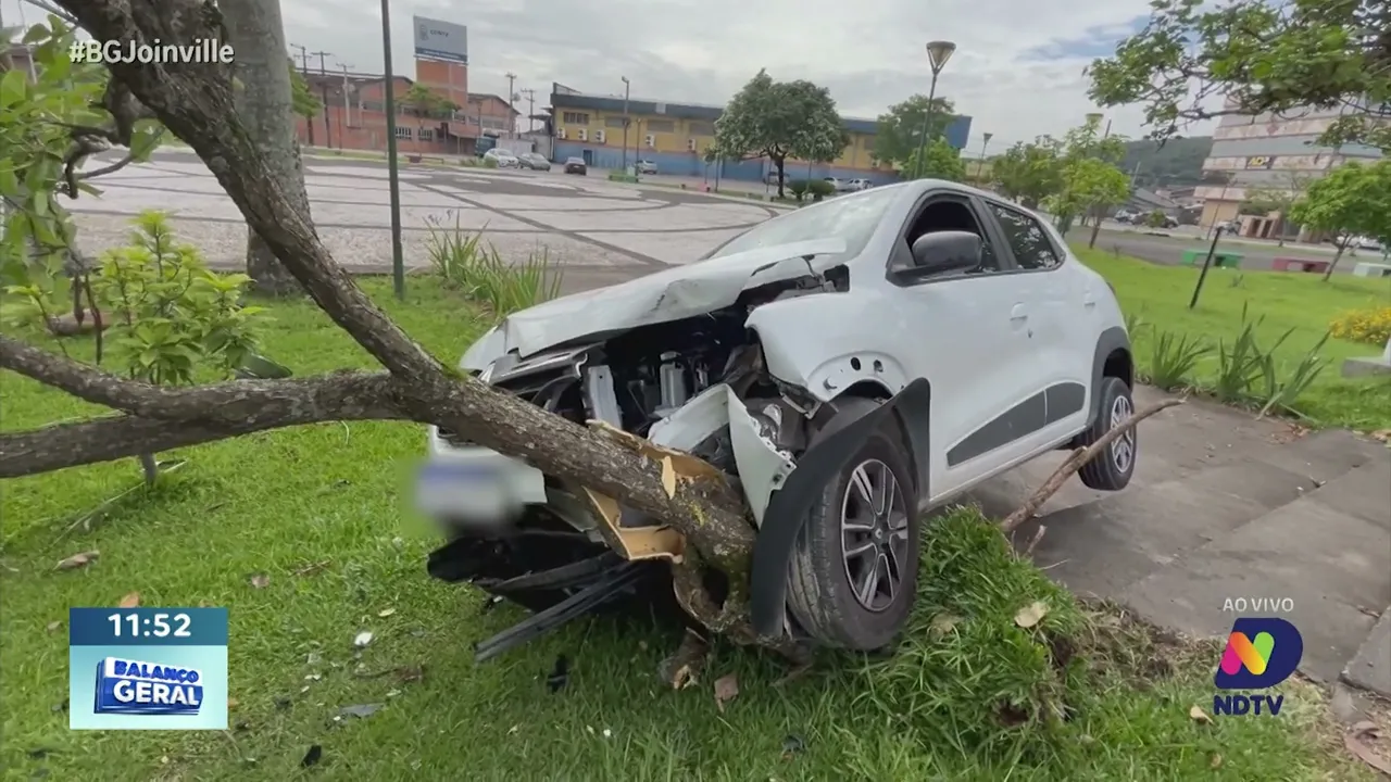 Acidente Guanabara: motorista perde controle e bate em árvore