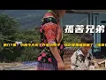 Download Lagu 第117集，小凱今天買了許多小鴨子，以後家裏就熱鬧了（孤苦兄弟）