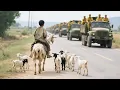 Download Lagu 日軍抓放羊小孩帶路，沒想到被帶到伏擊圈，全軍覆沒 🔥 抗日 | Kung Fu