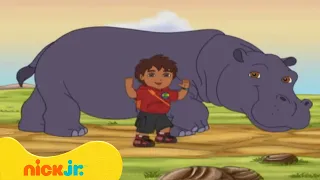 רוץ דייגו רוץ: בערבות של אפריקה | ניק ג'וניור
