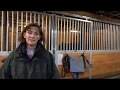 Understanding Horse Blankets