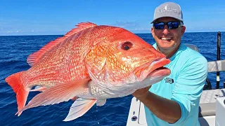 My Biggest American Red Snapper {Catch Clean Cook} Small Rod, Big Fish!