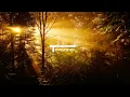 Sun Is Shining (Transposed) - Kaz James