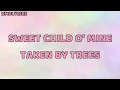 taken by trees. sweet child