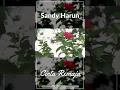 Sandy Harun - Cinta Remaja #Shorts