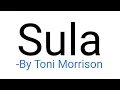 Sula Novel by Toni Morrison Summary explanation and full analysis in hindi
