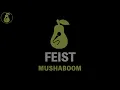 Feist - Mushaboom (Karaoke)