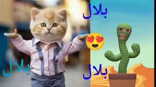 بلال بلال قلبى ياناس اغنية باسم بلال اغنيه بأسم بلال البحرين الكويت السعودية الامارات الجزائر 