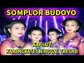Download Lagu TAYUB GLERR SOMPLOR BUDOYO | KAPILUT | KARANGKATES NINGGAL TRESNO