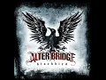 Blackbird - Alter Bridge