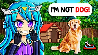 TAKE CARE OF THE DOG
