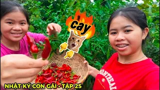Nhật Ký Con Gái • Tập 25 • Làm Bánh Rán Bột Mỳ🫓 Ăn Sáng Rồi Đi Hái Trái Cây Trong Vườn Với Lộc TiVi