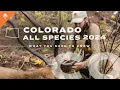 Hunting in Colorado Explained Everything You Need to Know