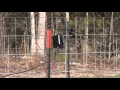 Latches and Activator for Hog trap 5